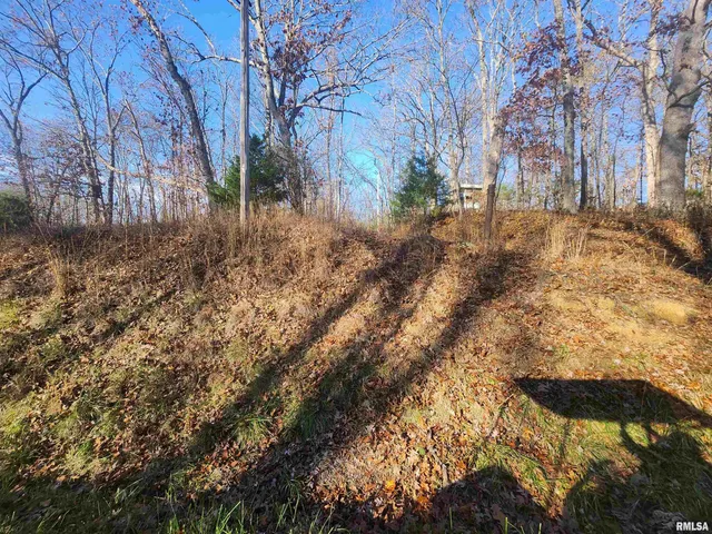 $25,000 | 0 West Lake Road, Pinckneyville, IL 62274