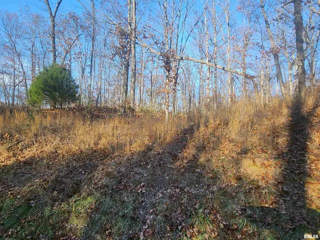 $25,000 | 0 West Lake Road, Pinckneyville, IL 62274