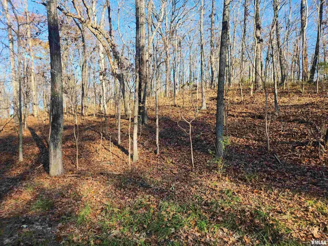 $25,000 | 0 West Lake Road, Pinckneyville, IL 62274