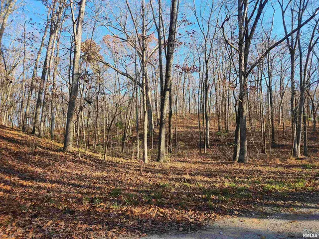 $25,000 | 0 West Lake Road, Pinckneyville, IL 62274