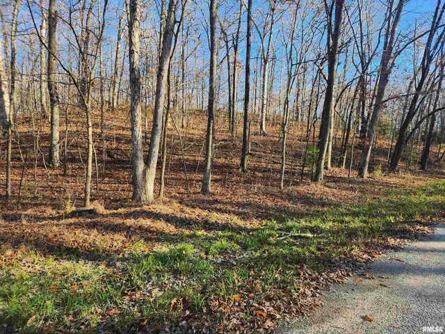 $25,000 | 0 West Lake Road, Pinckneyville, IL 62274