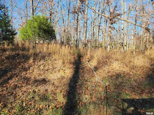 $25,000 | 0 West Lake Road, Pinckneyville, IL 62274