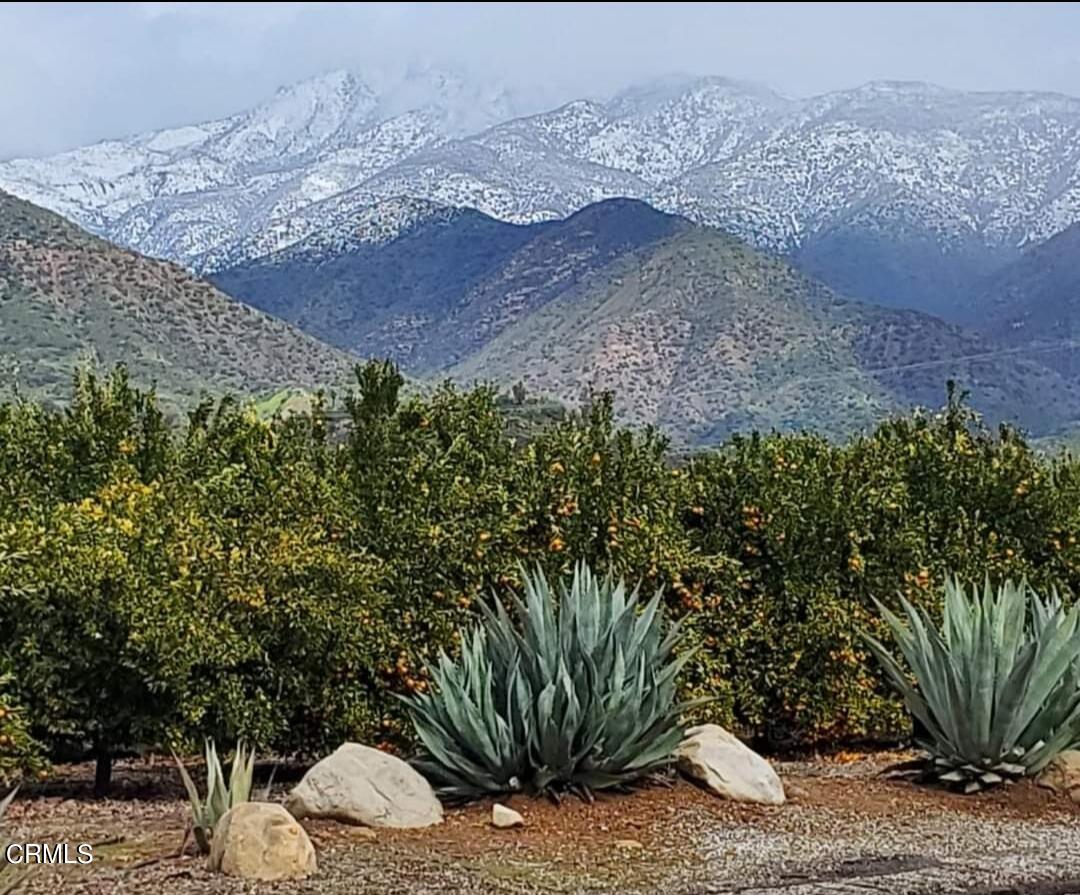 303 Lark Ellen Avenue Ojai, CA 93023 - Photo 42 of 43 Screenshot_2023-12-20-10-05-11-68_965bbf