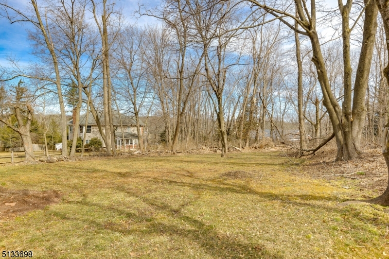 11 Village Road New Vernon, NJ 07976 - Photo 24 of 26 a view of yard with trees