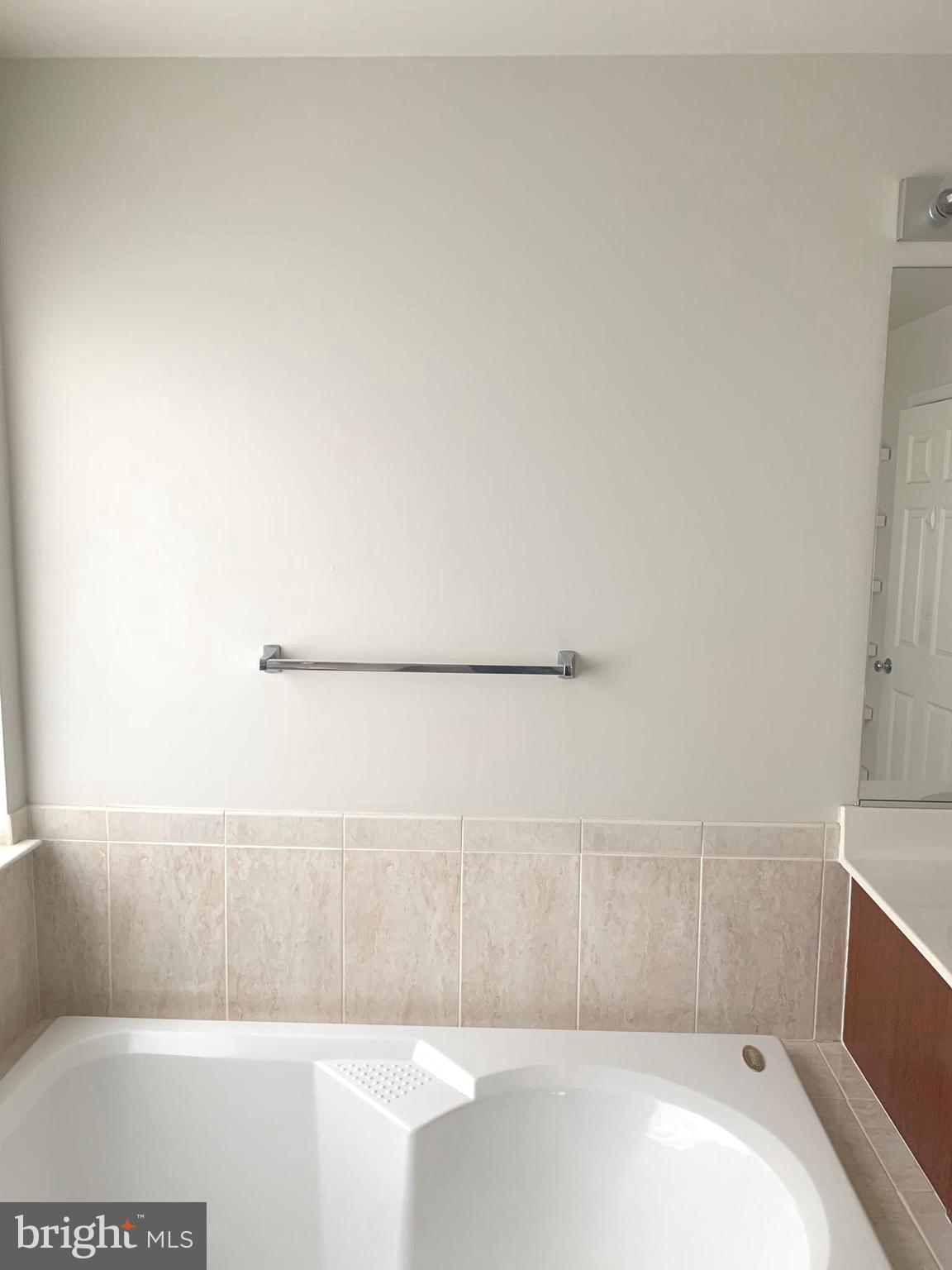 8378 Tillett Loop Manassas, VA 20110 - Photo 20 of 30 Primary Bathtub