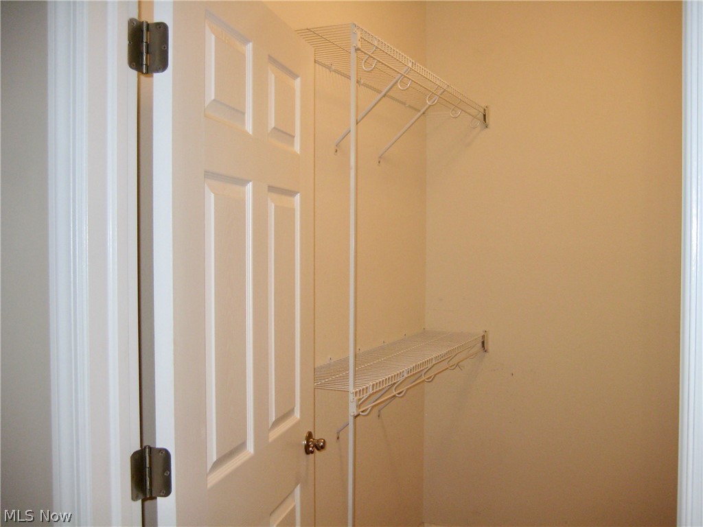 9264 Sharrott Road, Unit 1603 Youngstown, OH 44514 - Photo 22 of 35 master closet