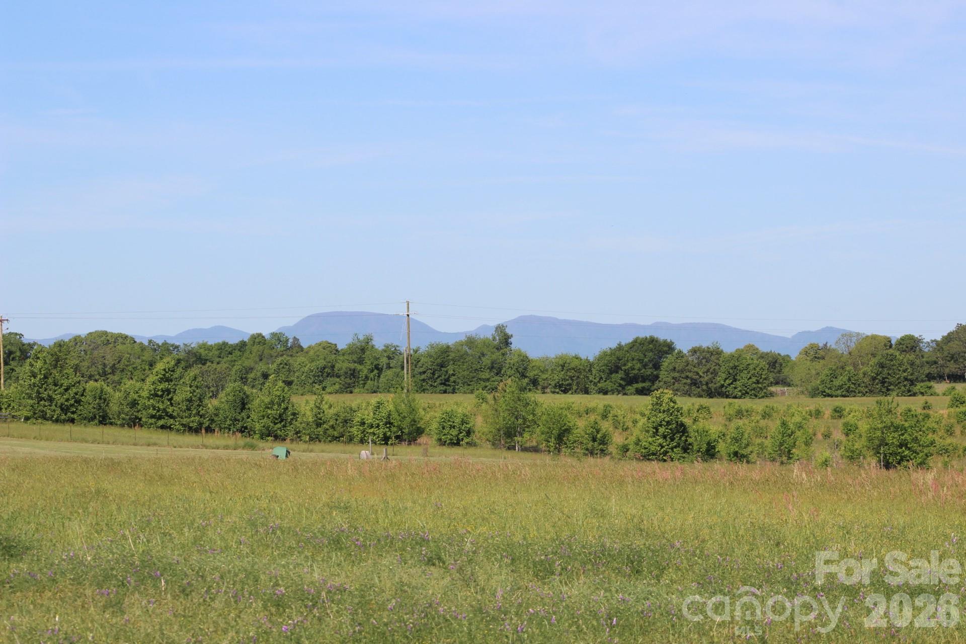 Lot 3 Ted Smith Road, Unit 3 Rutherfordton, NC 28139 - Photo 19 of 23