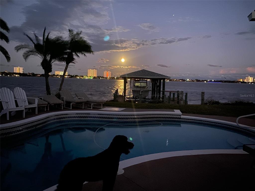130 Reef Road South Daytona, FL 32119 - Photo 91 of 95 Gallery Image 91