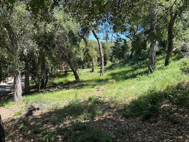 290-292 Rosario Park Road Santa Barbara, CA 93105 - Photo 4 of 7 IMG_5412