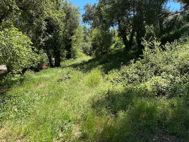 290-292 Rosario Park Road Santa Barbara, CA 93105 - Photo 5 of 7 IMG_5407