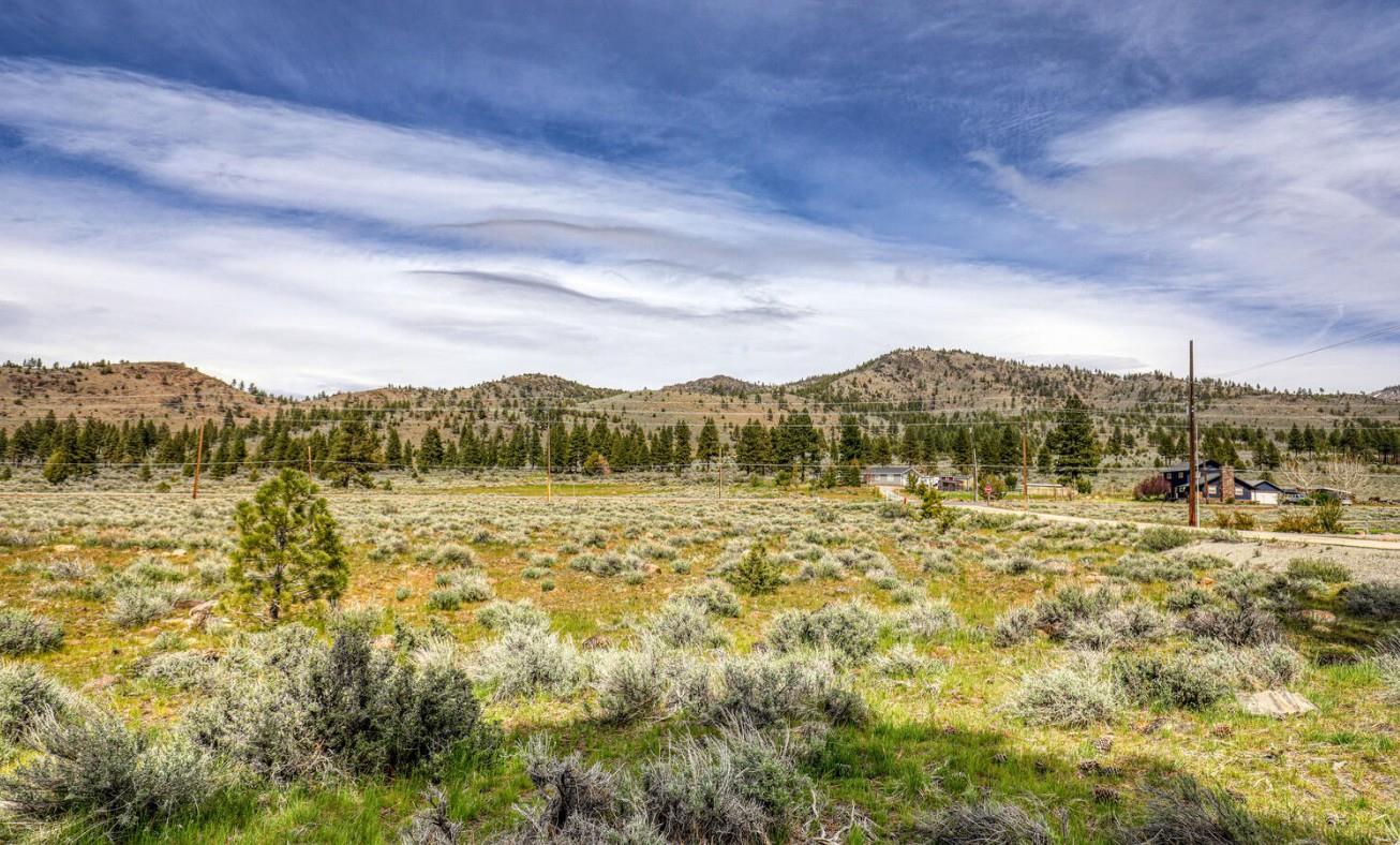 171 Smithneck Road Loyalton, CA 96118 - Photo 3 of 24 a view of lake with mountain
