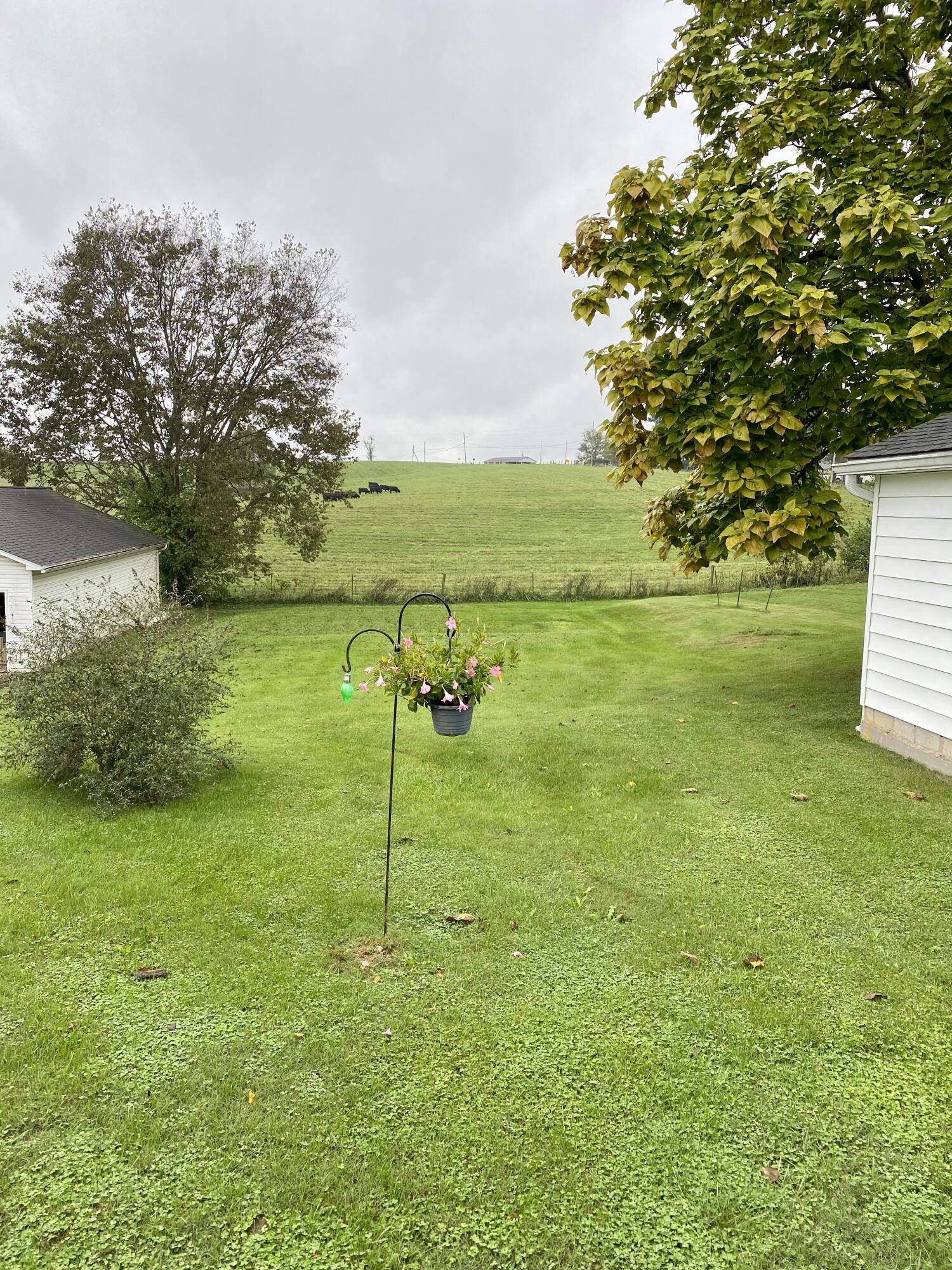 115 Riley Street Stamping Ground, KY 40379 - Photo 35 of 37 90200AAA-BDD0-4533-B1CA-9E2971B93E6E