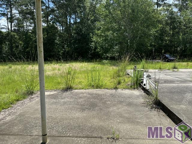 17198 Cannon Road Livingston, LA 70754 - Photo 8 of 8 Gallery Image 8