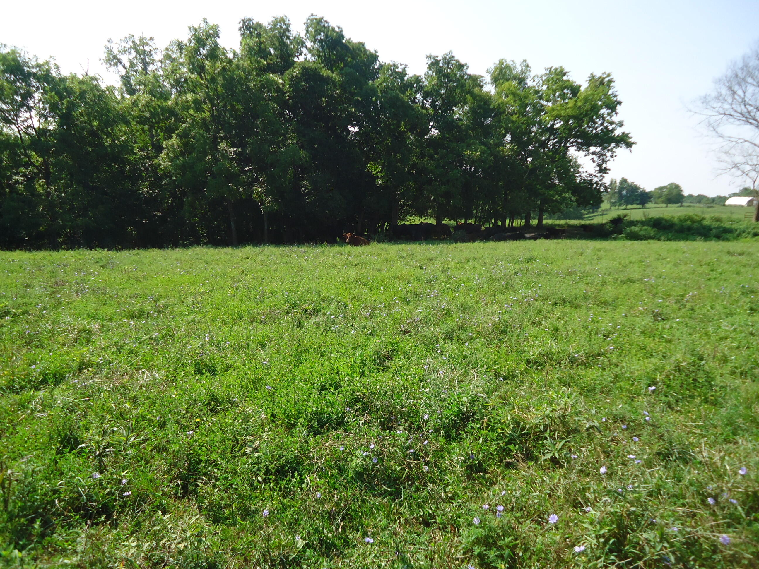 1 Sugar Creek Road Lancaster, KY 40444 - Photo 19 of 36 DSC01877