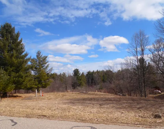 $24,900 | 5458 Wellington Road, Gladwin, MI 48624