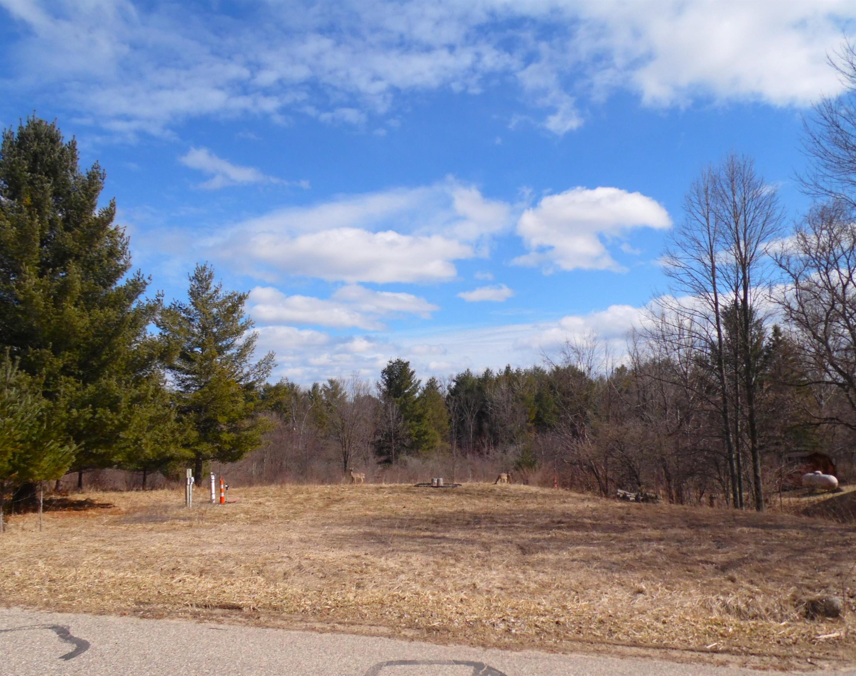 5458 Wellington Road Gladwin, MI 48624 - Photo 1 of 19