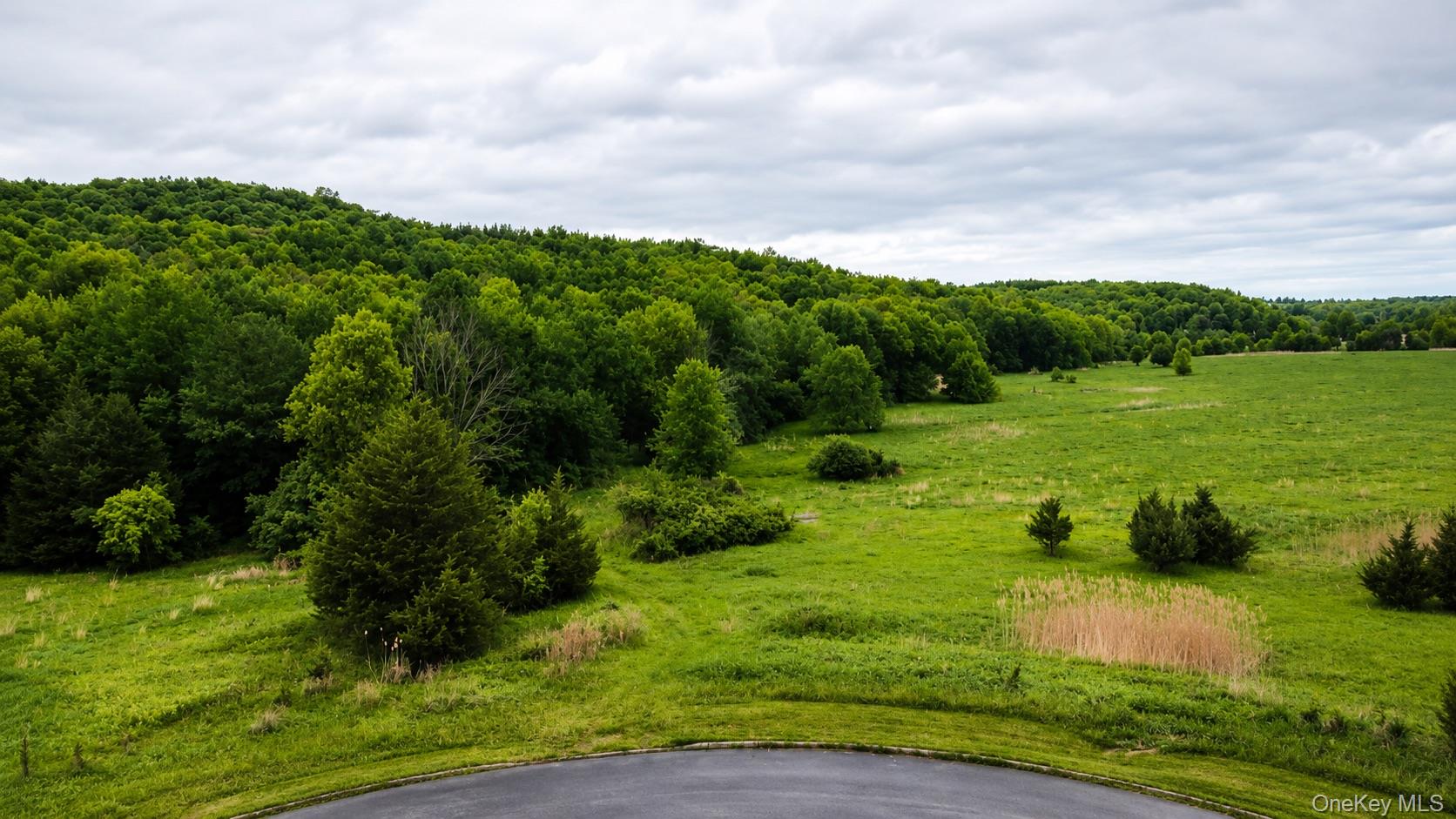 492 Black Meadow Road Chester, NY 10918 - Photo 10 of 18 a view of a grassy field with an trees