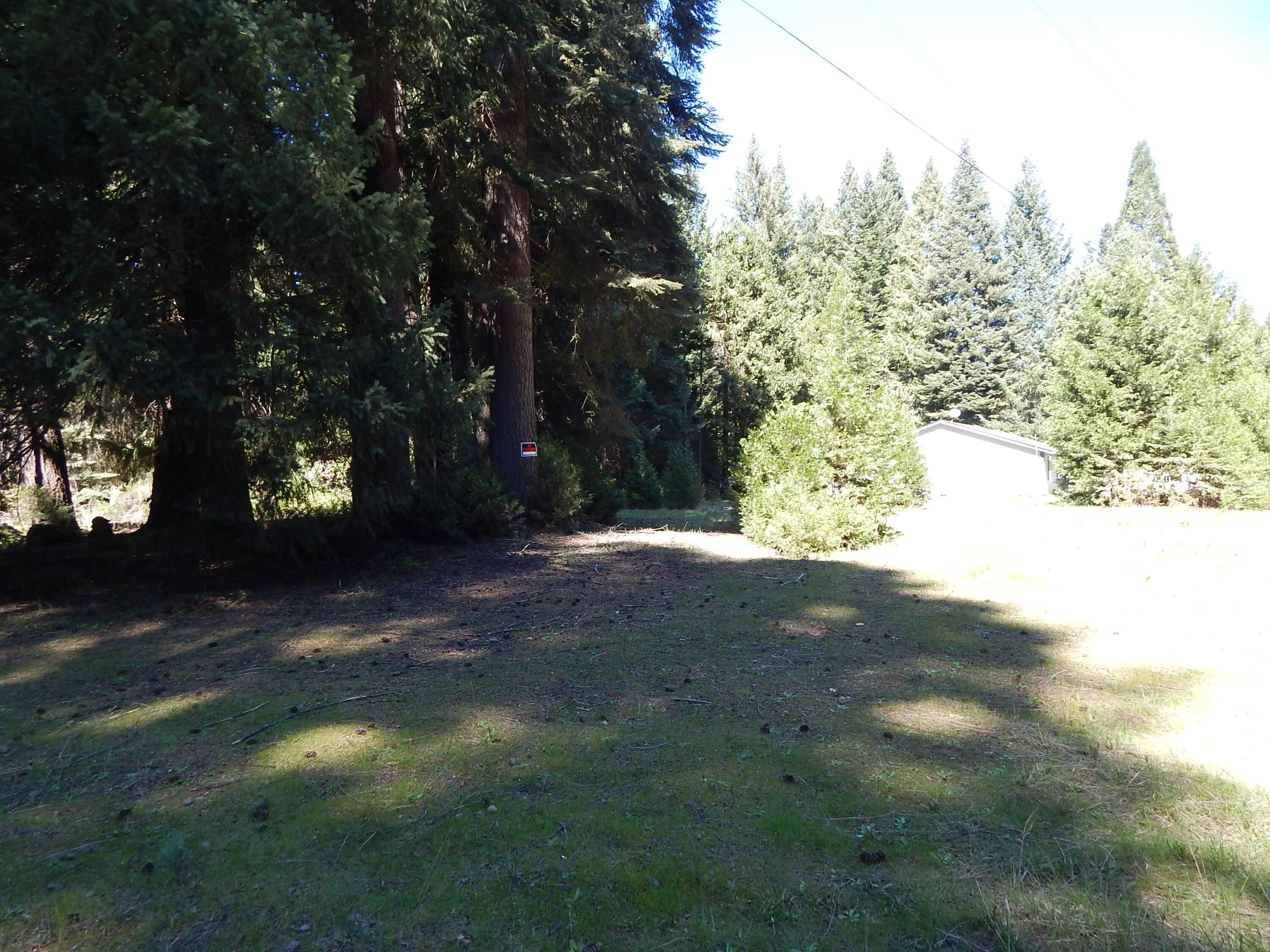 Red Blanket Road Prospect, OR 97536 - Photo 2 of 6 DSCN6051