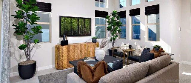 a living room with furniture and a potted plant