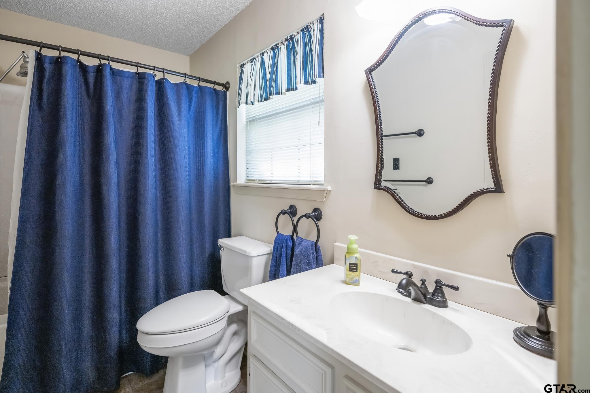 944 Clear Water Trail Holly Lake Ranch, TX 75765 - Photo 19 of 46 a bathroom with a sink a toilet and a mirror