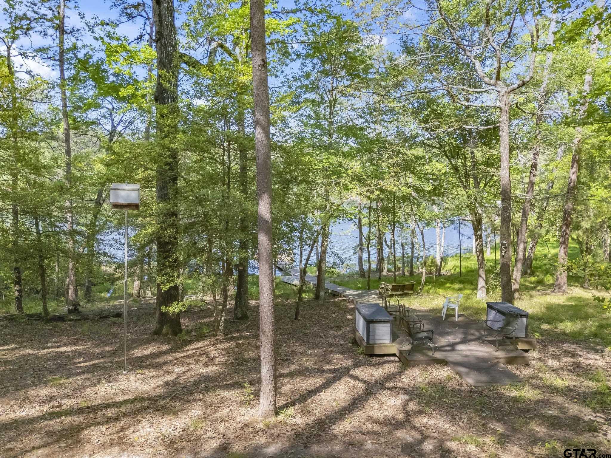944 Clear Water Trail Holly Lake Ranch, TX 75765 - Photo 32 of 46 a view of a park with large trees