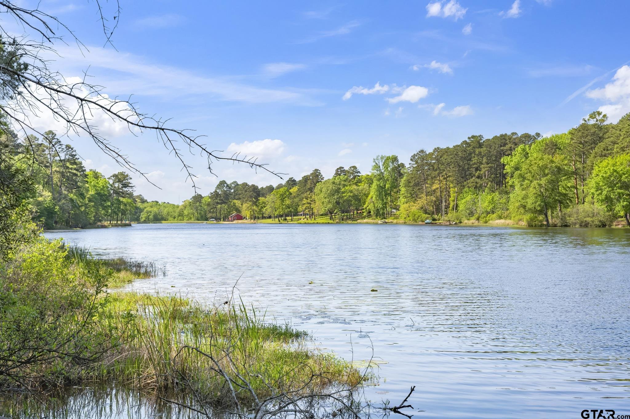 944 Clear Water Trail Holly Lake Ranch, TX 75765 - Photo 33 of 46 a view of lake from yard