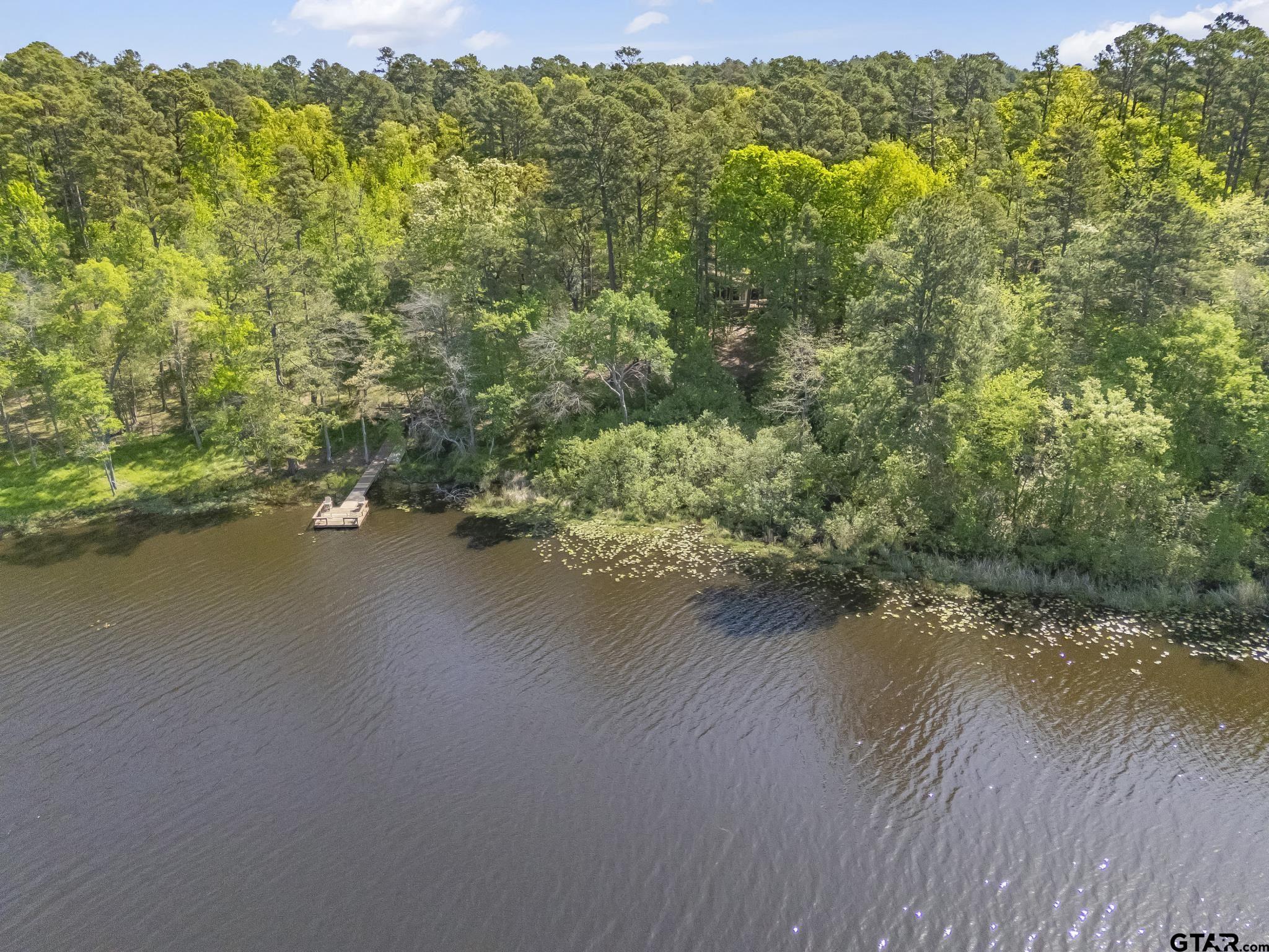 944 Clear Water Trail Holly Lake Ranch, TX 75765 - Photo 37 of 46