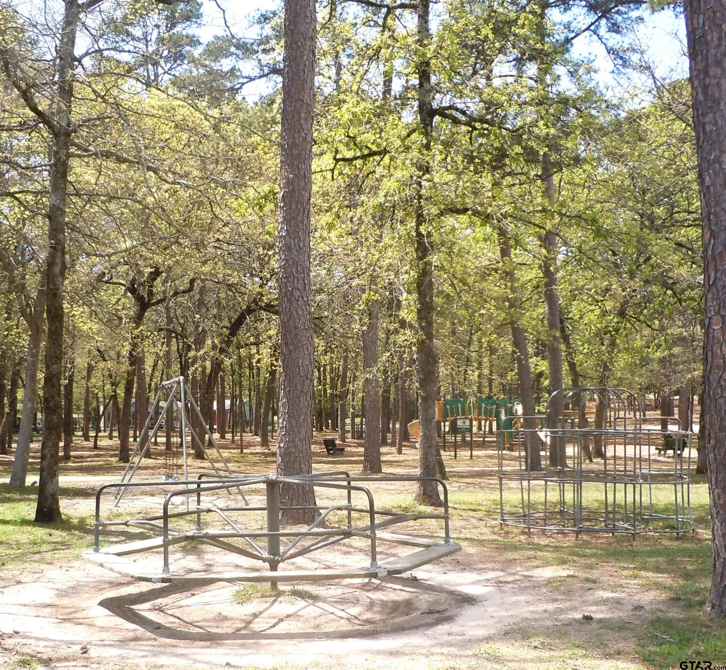 944 Clear Water Trail Holly Lake Ranch, TX 75765 - Photo 43 of 46