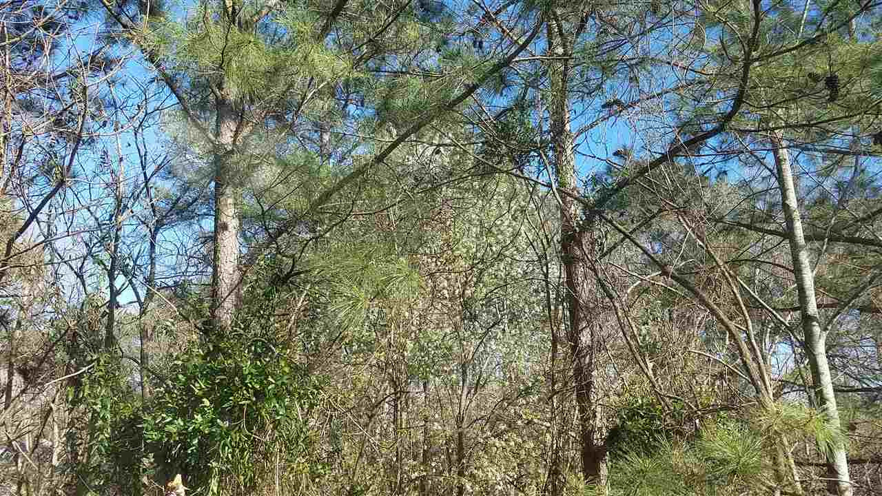 4238 Kaplan Drive Raleigh, NC 27606 - Photo 3 of 21 Back to Woods