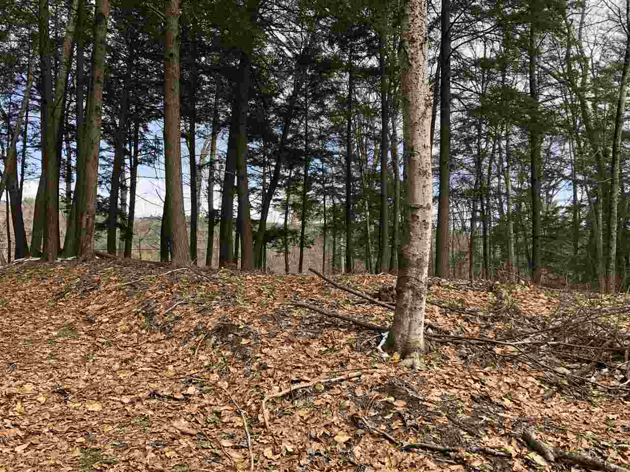 3 Page Road, Unit 3 Campton, NH 03223 - Photo 9 of 9