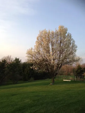 $549,000 | 4975 Westwind Drive, Dexter, MI 48130