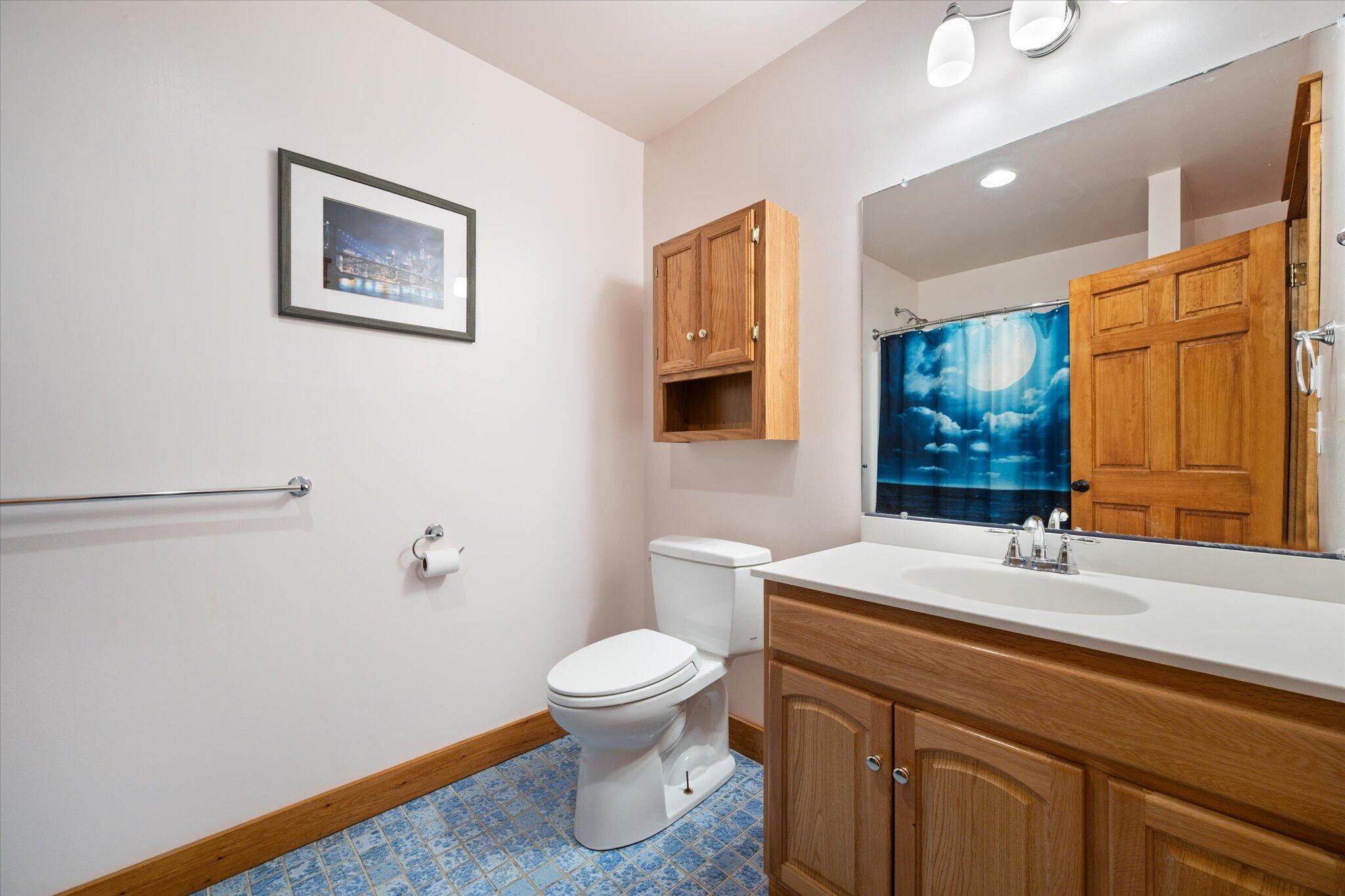 172 Harford Point Road Greenville Junction, ME 04442 - Photo 53 of 77 53-Lower Level Bathroom