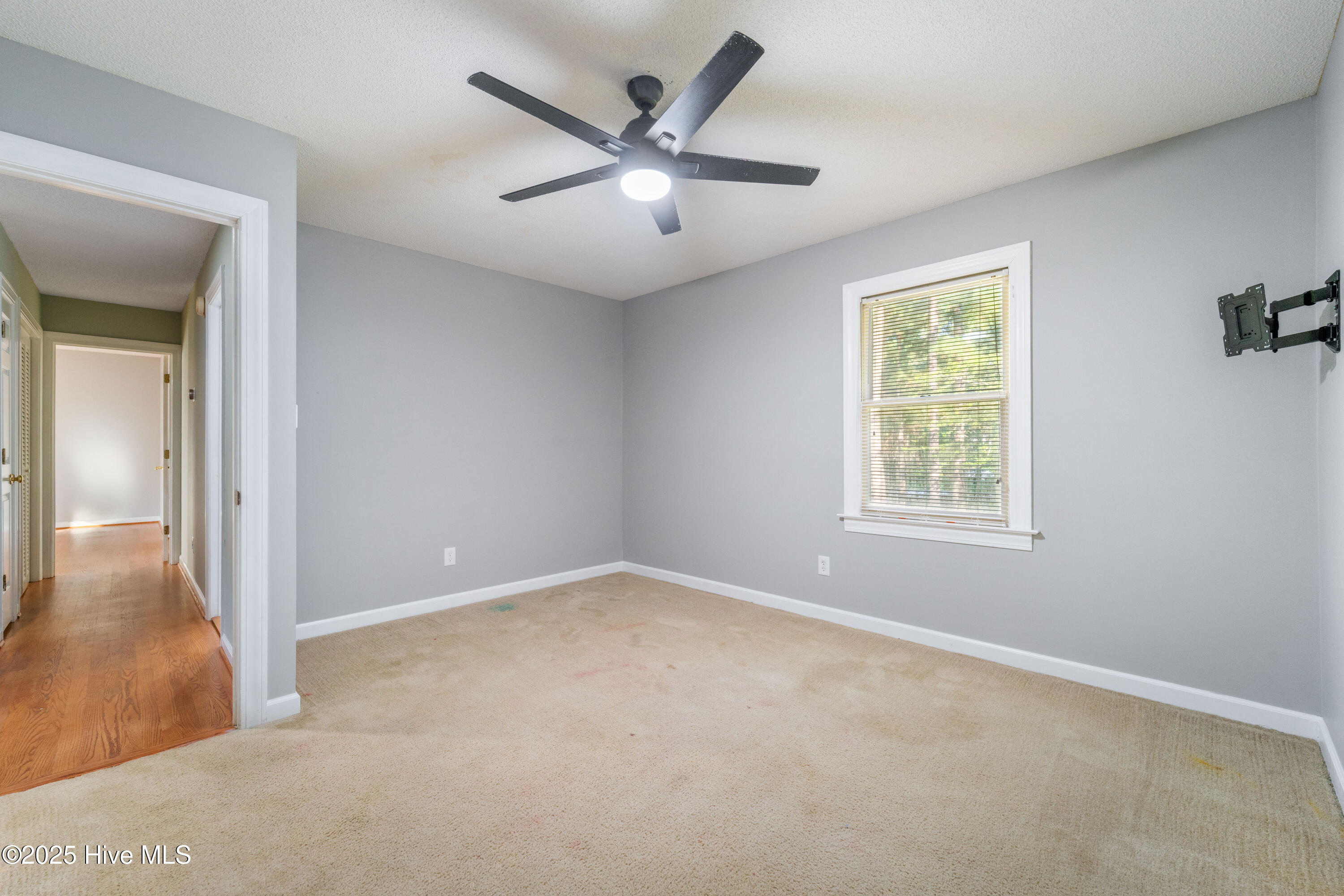 902 Welsh Lane Jacksonville, NC 28546 - Photo 28 of 74 DSC02715