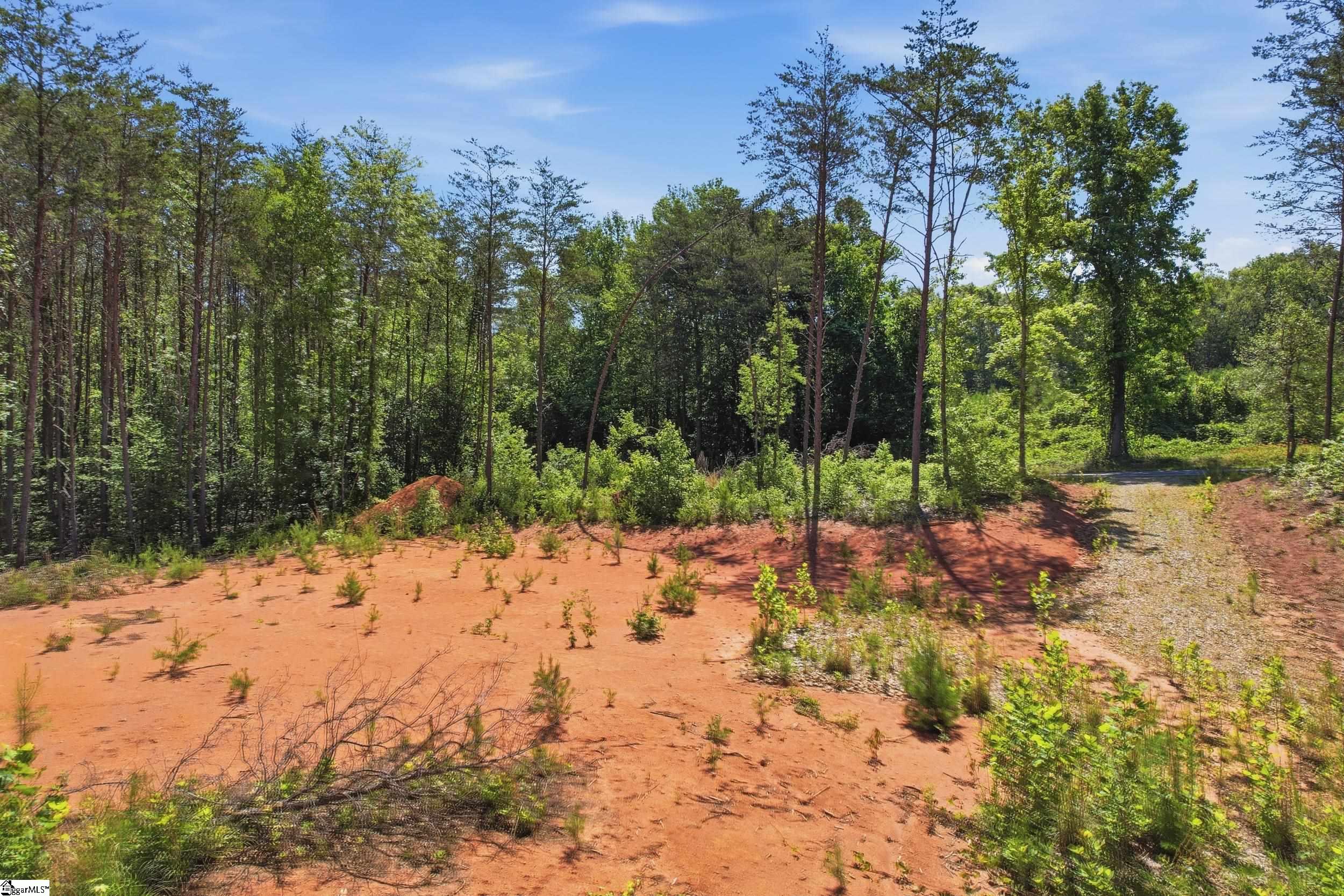 129 Tugaloo Road Landrum, SC 29356 - Photo 16 of 34
