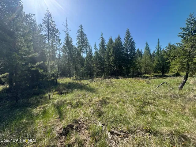 $275,000 | Nka Nka Backroads Way, Priest River, ID 83856