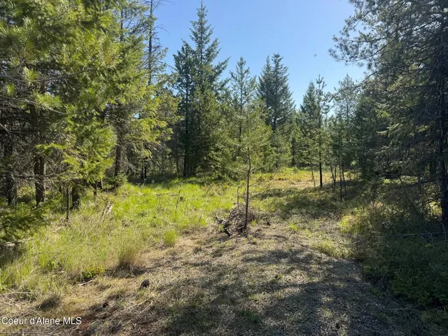 $275,000 | Nka Nka Backroads Way, Priest River, ID 83856
