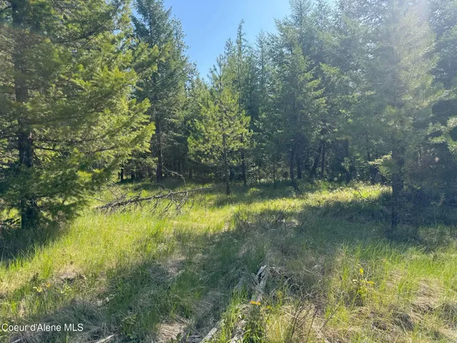 $275,000 | Nka Nka Backroads Way, Priest River, ID 83856