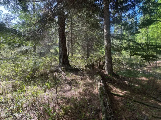 $275,000 | Nka Nka Backroads Way, Priest River, ID 83856