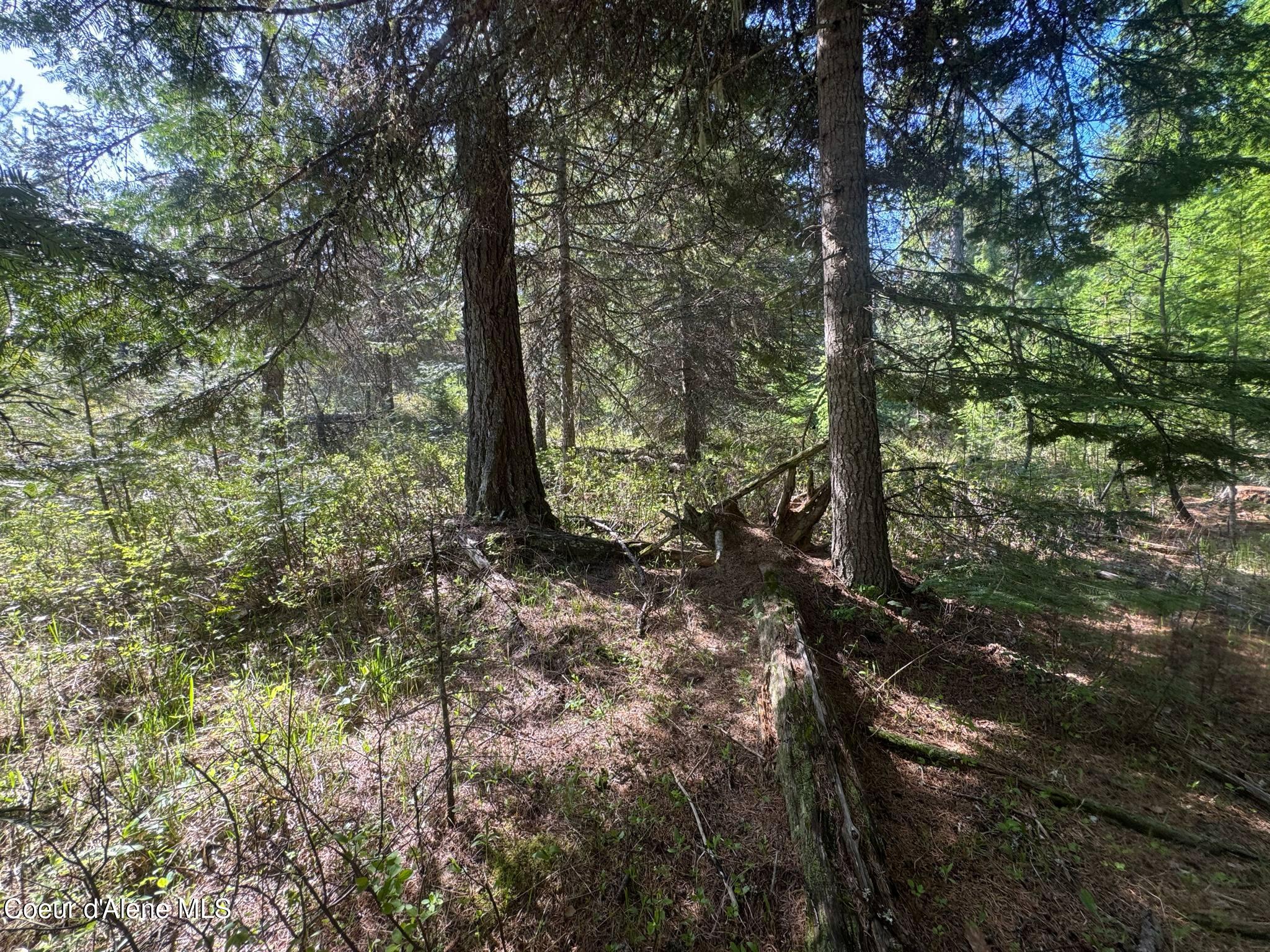 Nka Nka Backroads Way Priest River, ID 83856 - Photo 5 of 6 71cfc2ff-5bfd-4d31-842c-af35ae048e8c