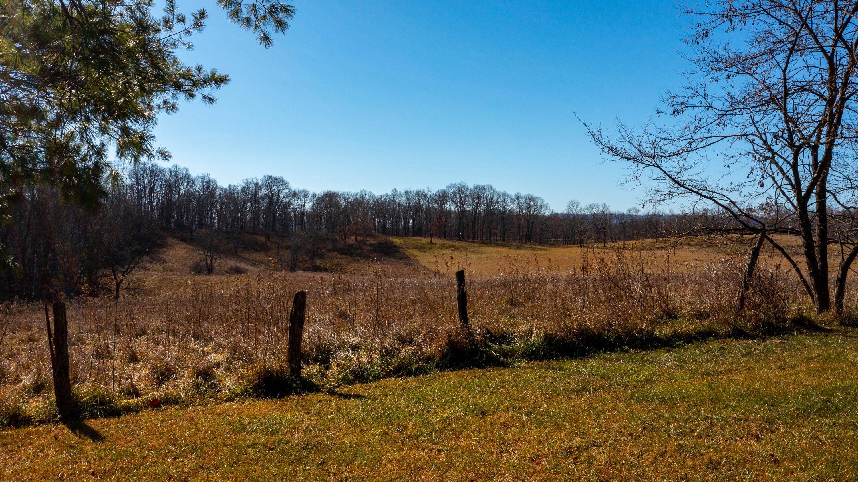 Lost World Road Lewisburg, WV 24901 - Photo 5 of 27 Gallery Image 5