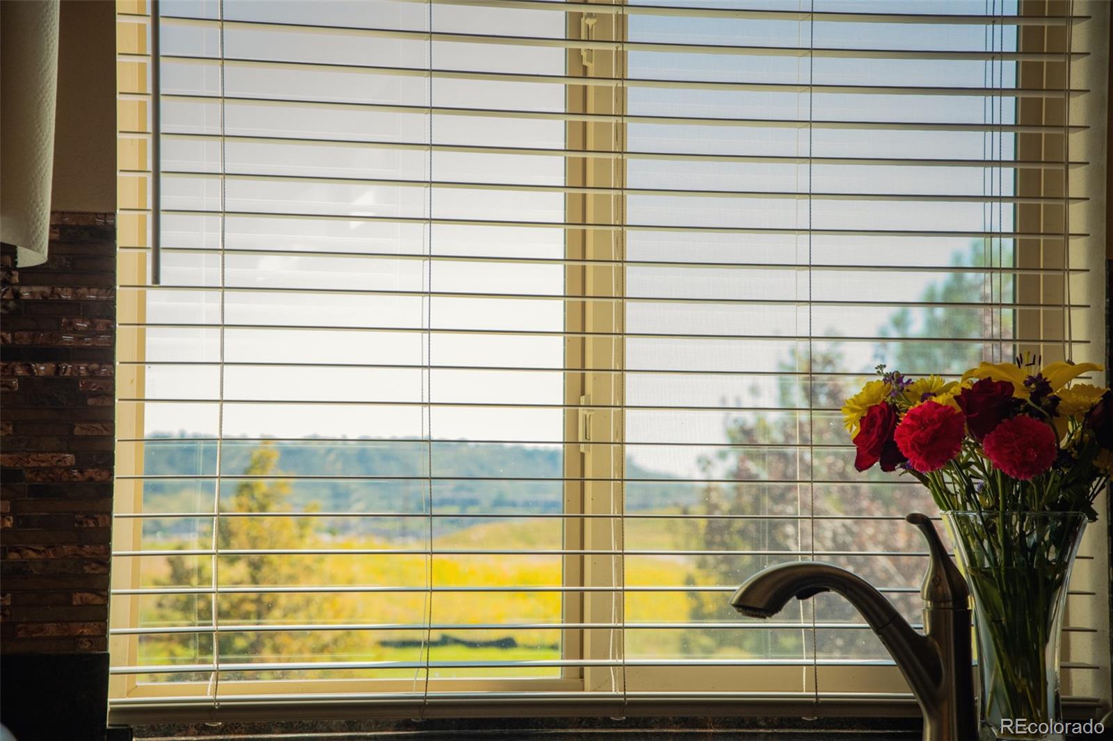 4428 Vindaloo Drive Castle Rock, CO 80109 - Photo 12 of 35 a bathroom with a shower