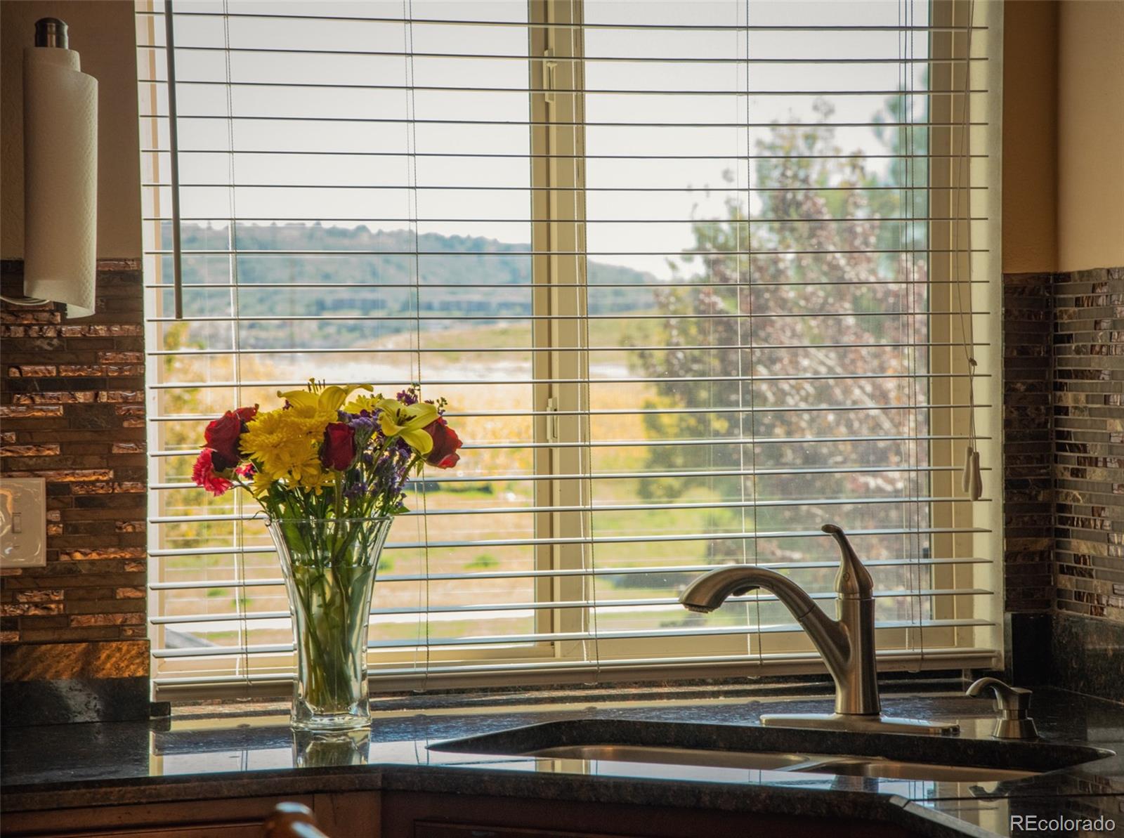 4428 Vindaloo Drive Castle Rock, CO 80109 - Photo 13 of 35 a view of a window