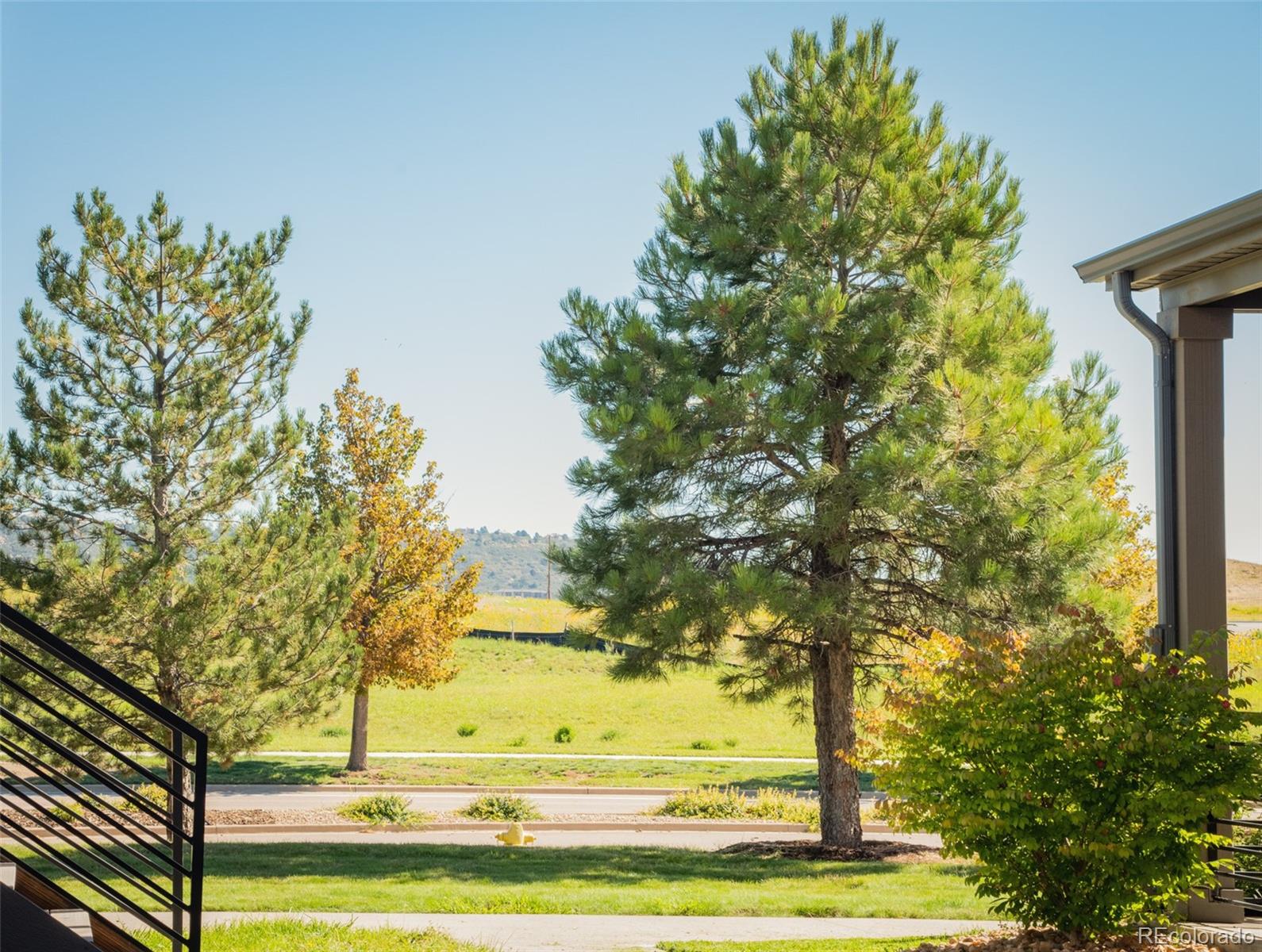 4428 Vindaloo Drive Castle Rock, CO 80109 - Photo 34 of 35 a view of big yard with an outdoor space
