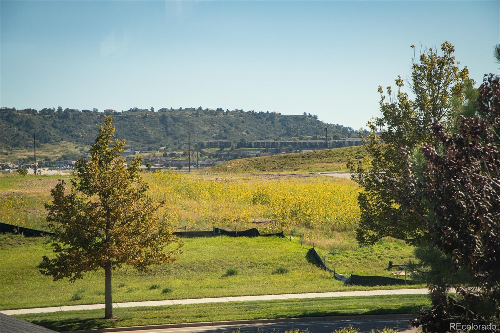4428 Vindaloo Drive Castle Rock, CO 80109 - Photo 35 of 35