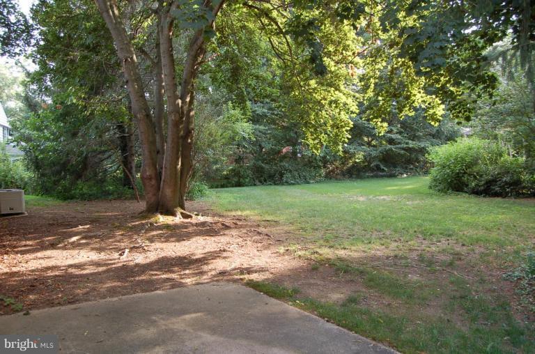18916 Olney Mill Road Olney, MD 20832 - Photo 23 of 24 a view of a yard with a tree