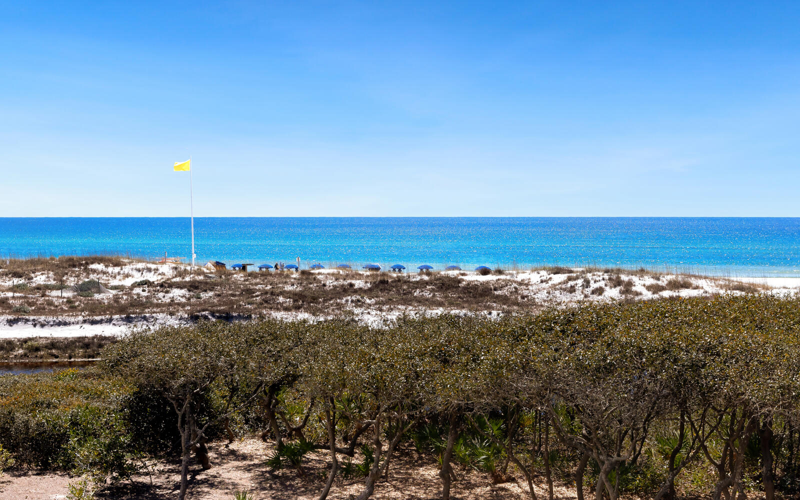 100 Bridge Lane, Unit 214C Inlet Beach, FL 32461 - Photo 2 of 54