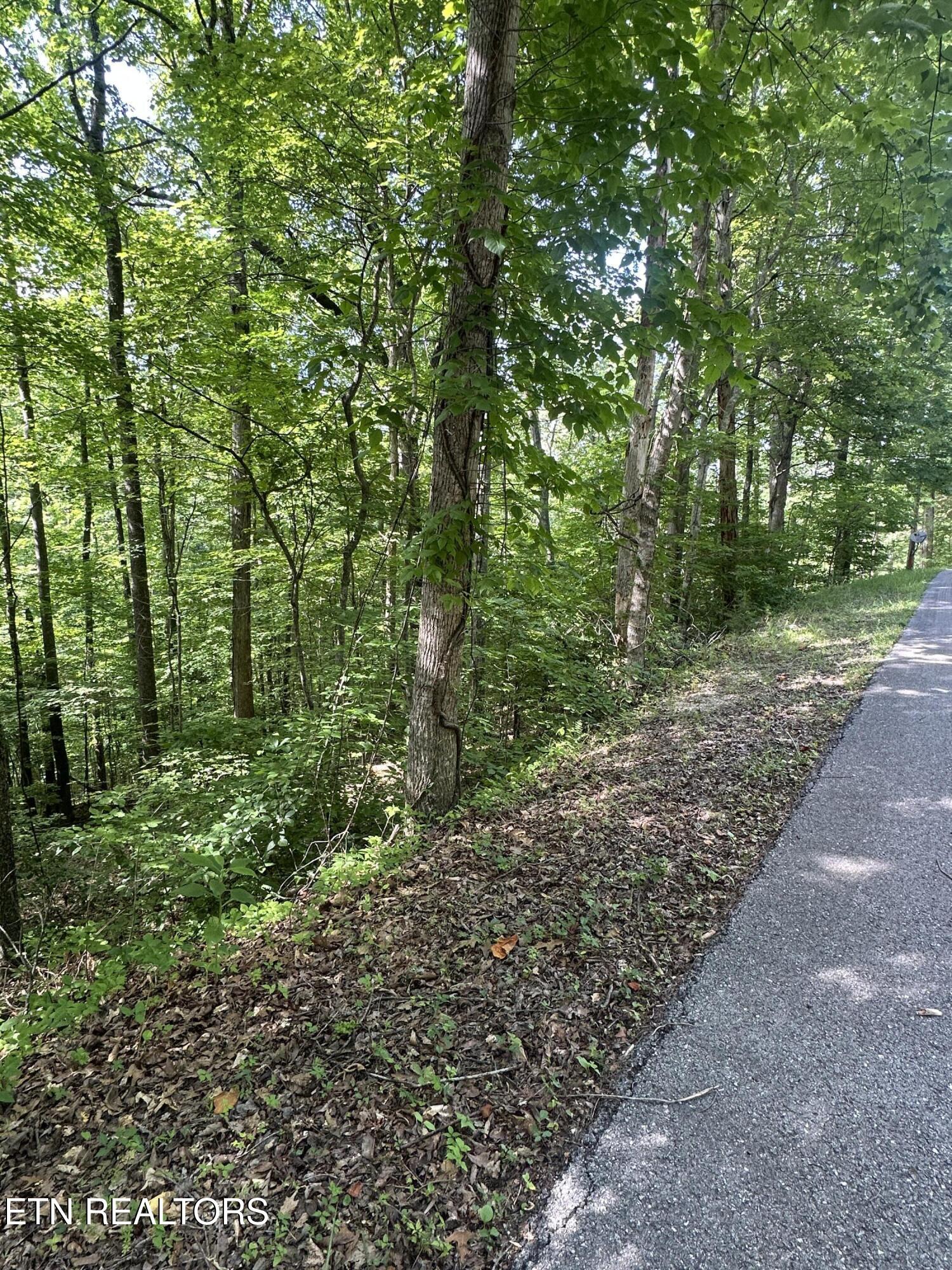 Hiwassee View Jacksboro, TN 37757 - Photo 5 of 16 jacksboro 4