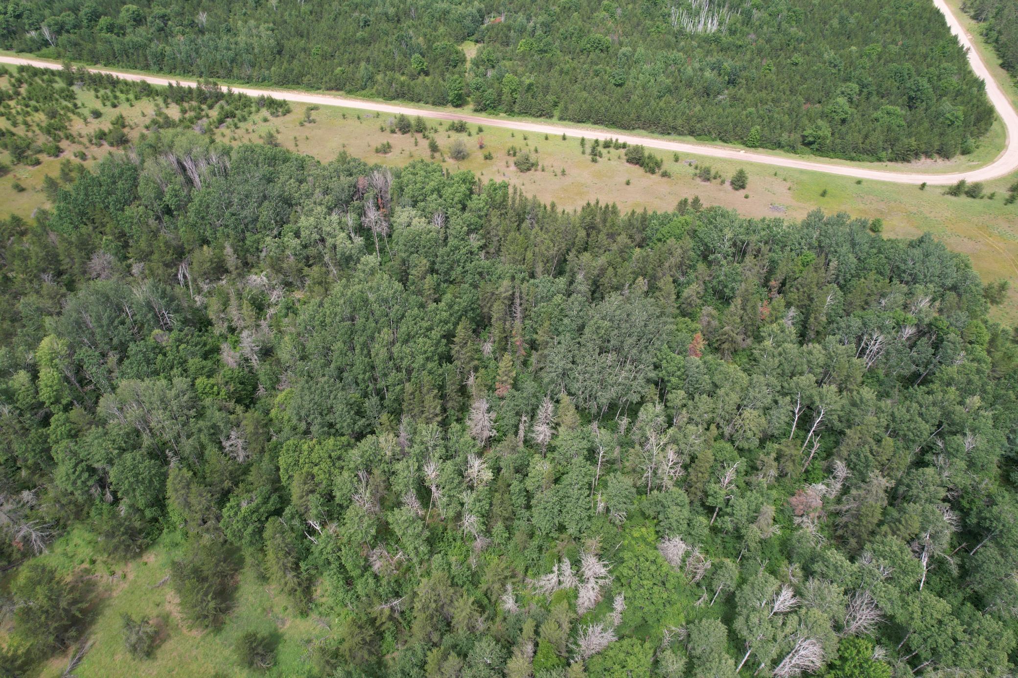 Tbd 350th Street Sebeka, MN 56477 - Photo 8 of 100