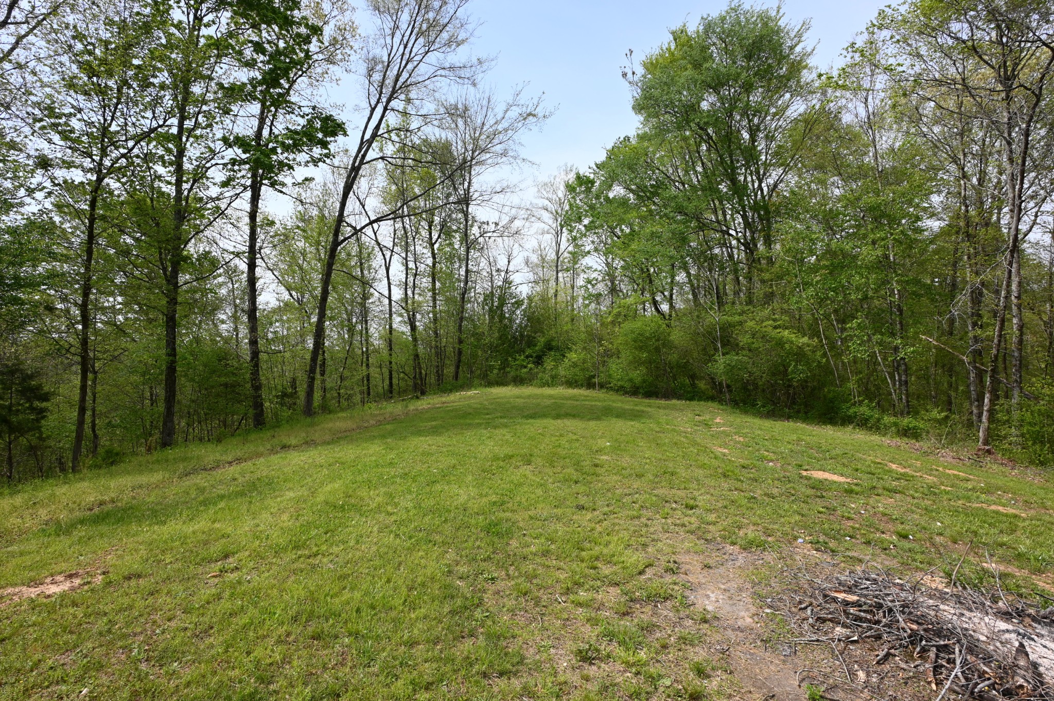 293 Horseshoe Bend Road Linden, TN 37096 - Photo 37 of 39