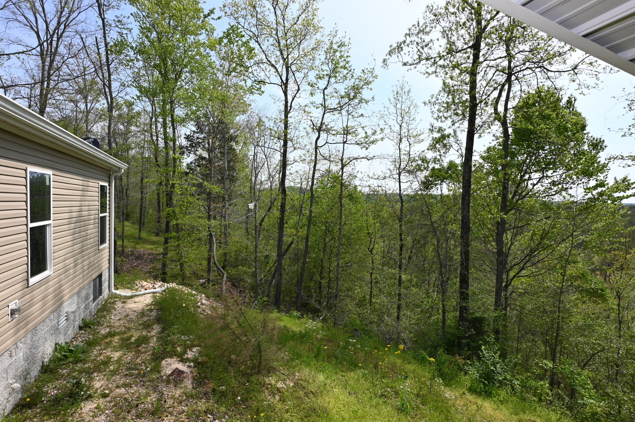 293 Horseshoe Bend Road Linden, TN 37096 - Photo 9 of 39